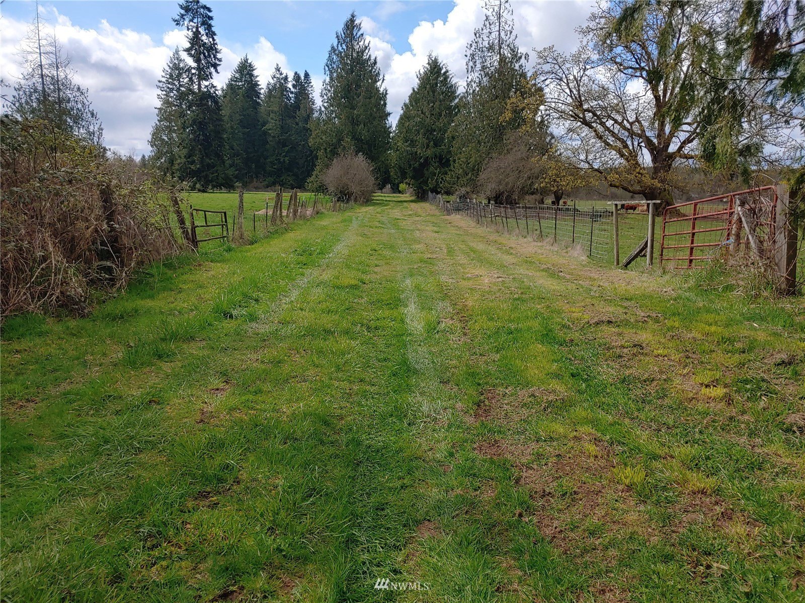 190 Leonard Road Onalaska, WA 98570 - Photo 3 of 16 Gallery Image 3
