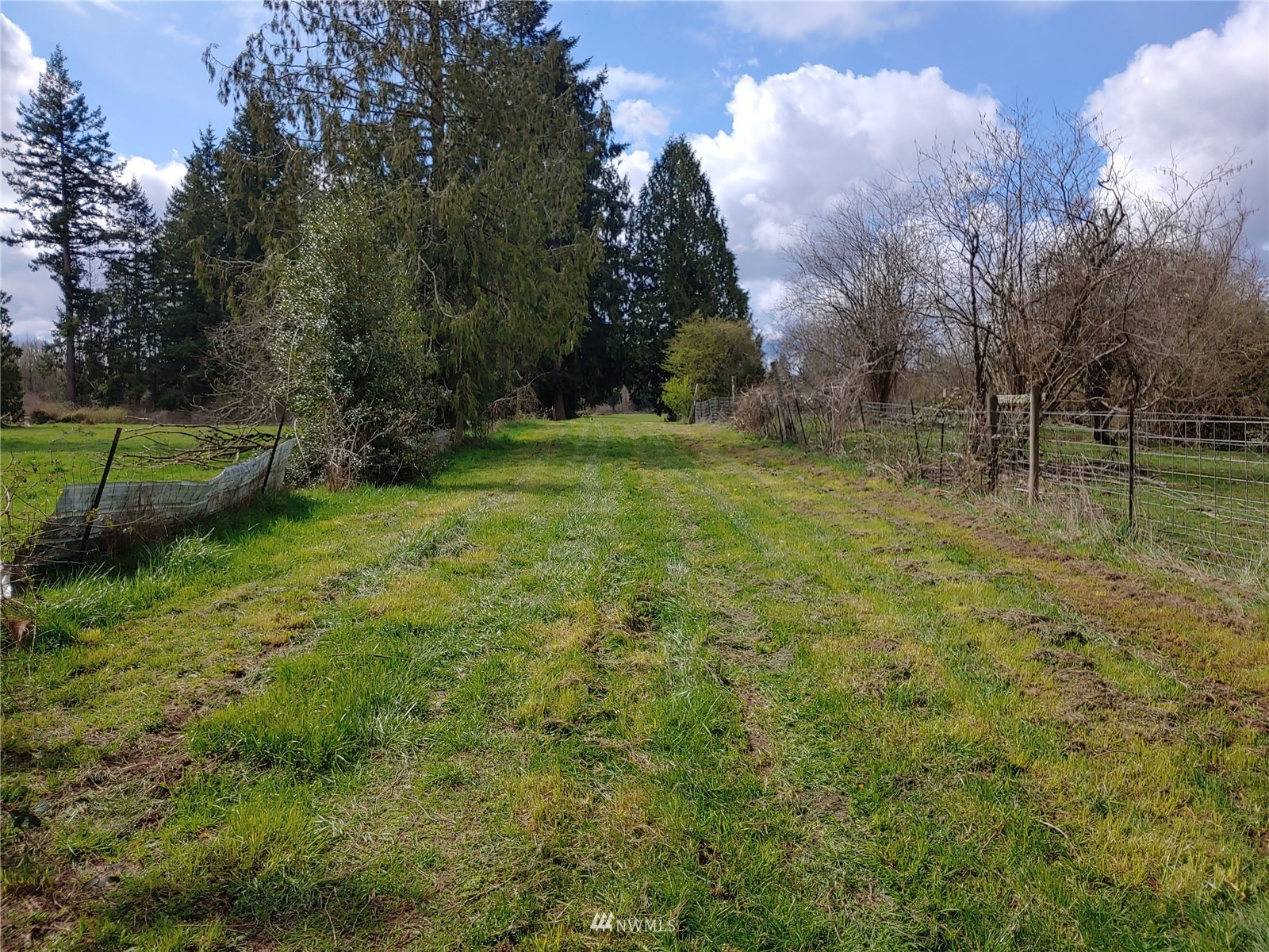 190 Leonard Road Onalaska, WA 98570 - Photo 4 of 16 Gallery Image 4