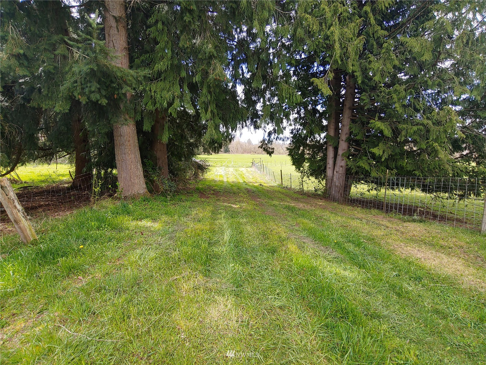 190 Leonard Road Onalaska, WA 98570 - Photo 5 of 16 Gallery Image 5