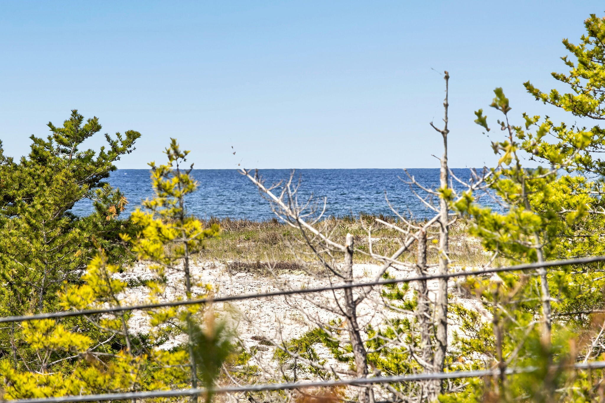 5 Great Hills Road Truro, MA 02666 - Photo 5 of 62 47-PF0A4186