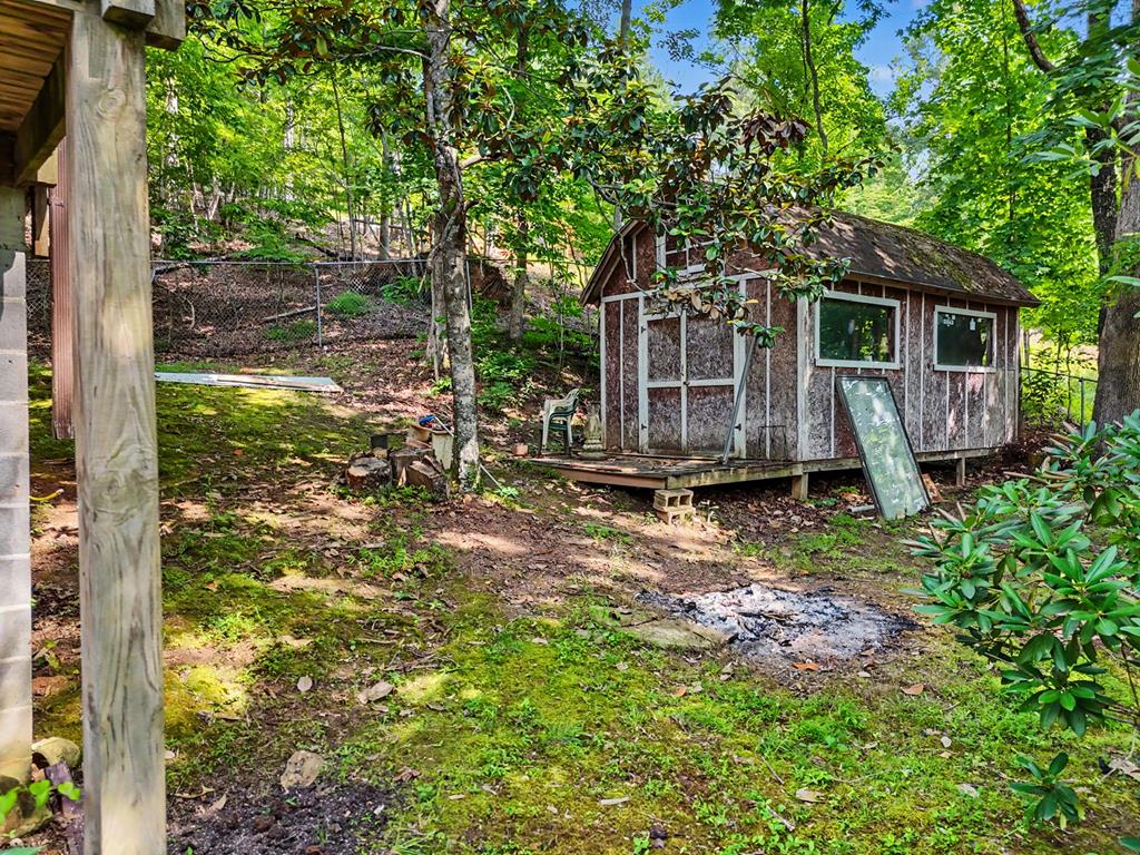 3477 Salem Road Mineral Bluff, GA 30559 - Photo 47 of 55