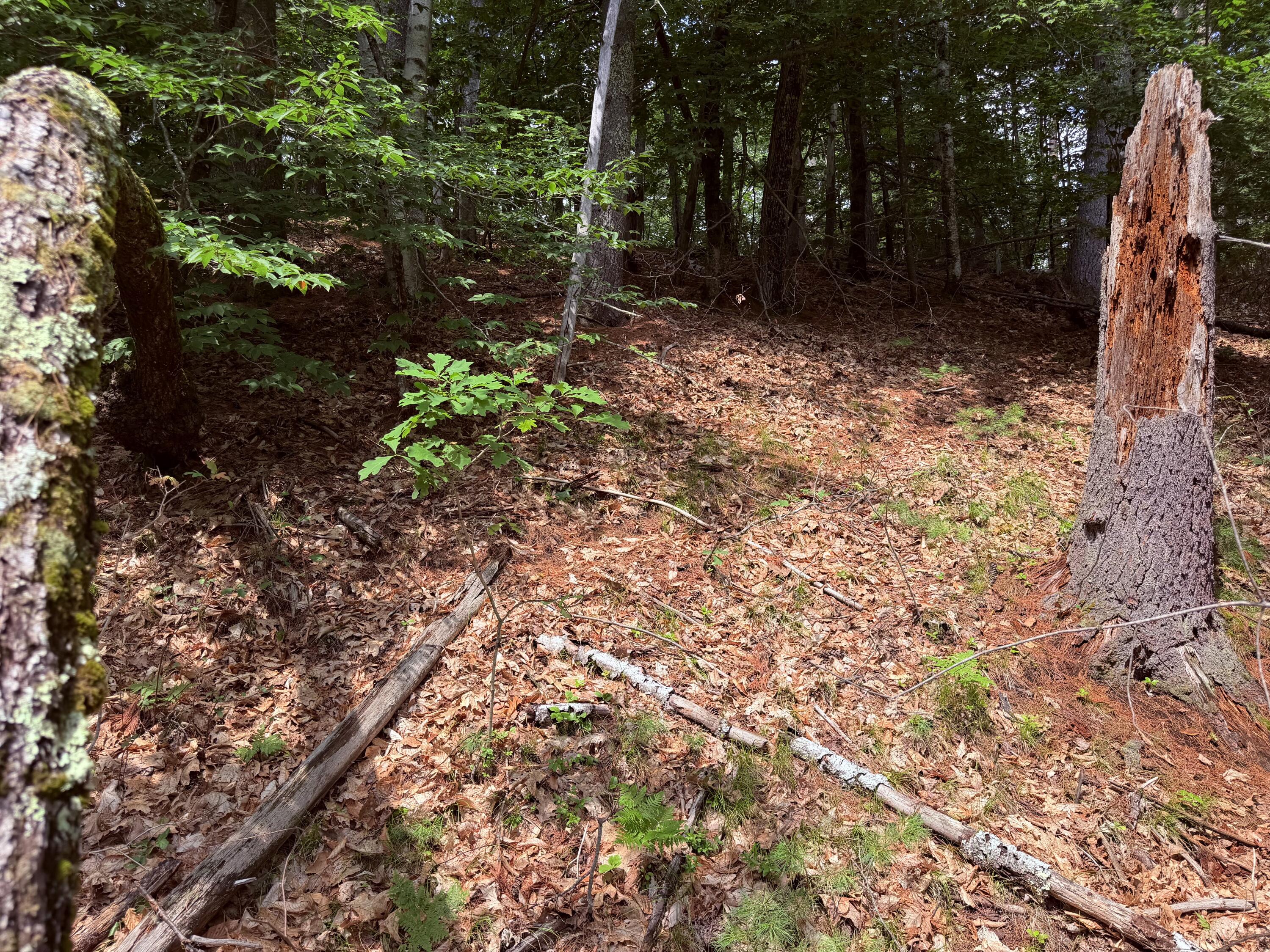 Tbd High Point Circle North Waterboro, ME 04061 - Photo 2 of 6 IMG_6738