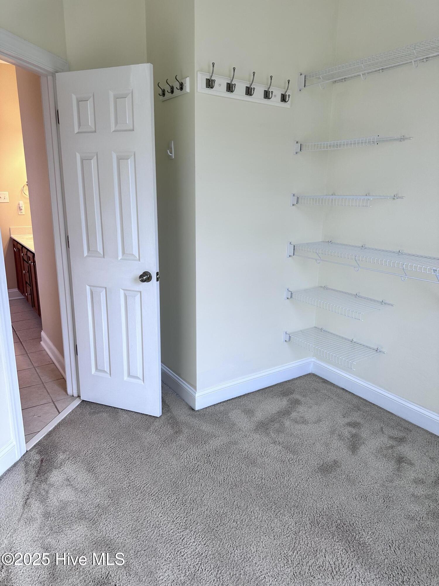 114 Hills Lorough Loop Jacksonville, NC 28546 - Photo 12 of 32 Mstrcloset(2)