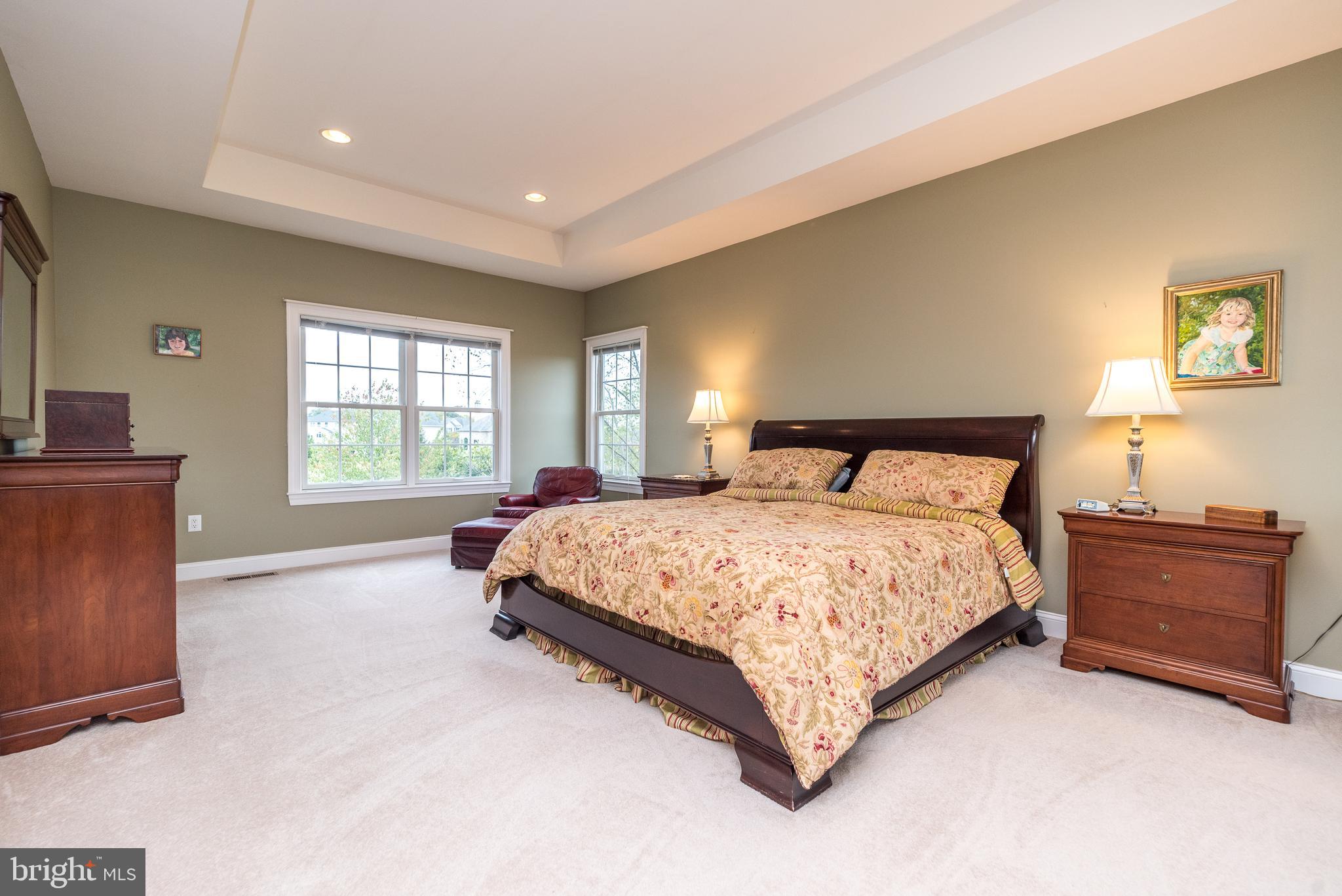 117 Telegraph Road Perkasie, PA 18944 - Photo 41 of 66 primary bedroom with tray ceiling