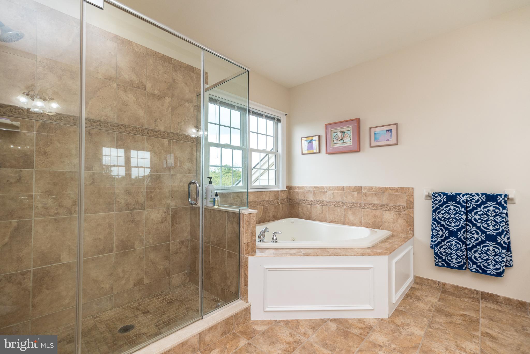 117 Telegraph Road Perkasie, PA 18944 - Photo 42 of 66 Primary bathroom