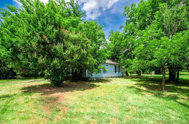 a view of a big yard with plants and large trees