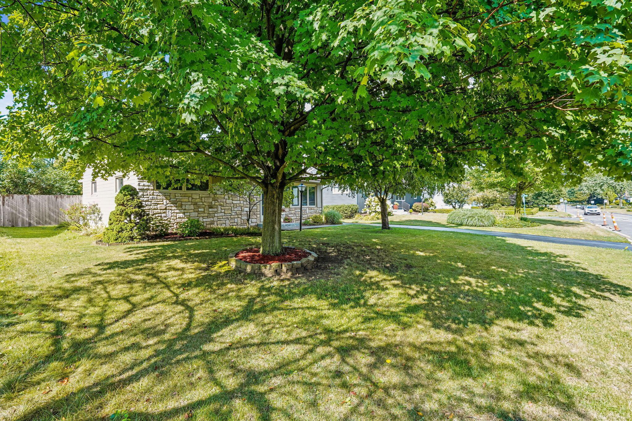 2482 Nottingham Road Columbus, OH 43221 - Photo 42 of 43 30-web-or-mls-2482-nottingham-rd