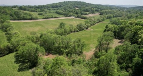 0 Shop Springs Road Watertown, TN 37184 - Photo 1 of 3 a view of a green field with lots of bushes