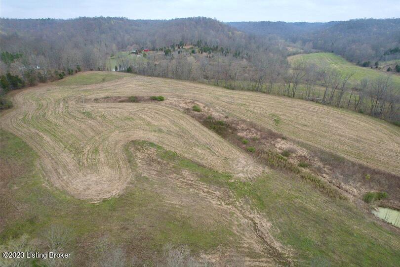 7000 Bowling Green Road Caneyville, KY 42721 - Photo 9 of 29 21