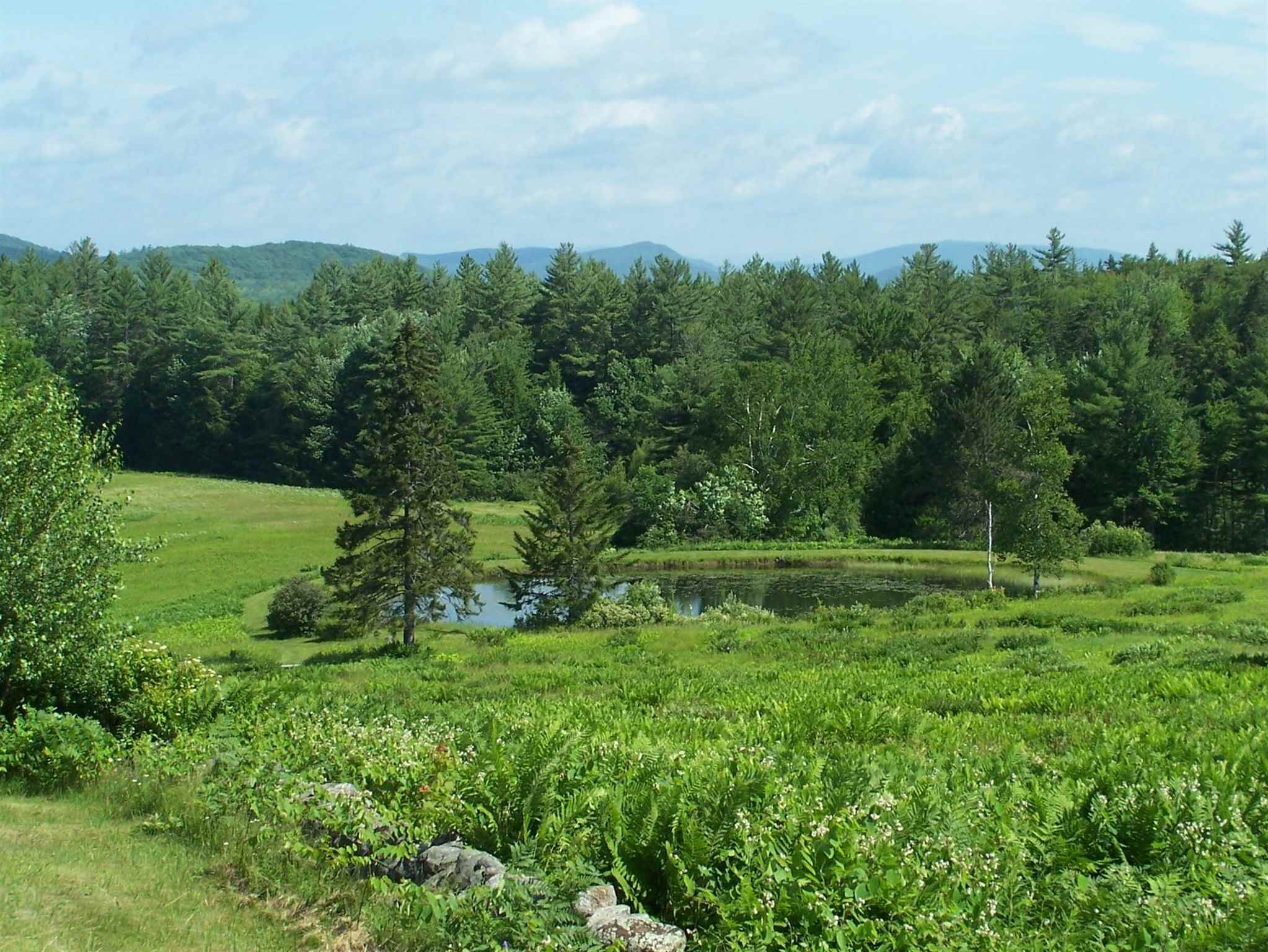 942 Murray Hill Road Hill, NH 03243 - Photo 39 of 40 Gallery Image 39