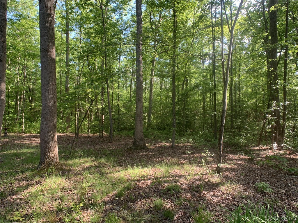 15803 Cox Road Church Road, VA 23833 - Photo 37 of 38 Gallery Image 37