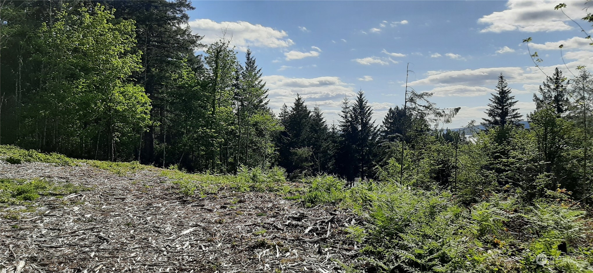 200 Northeast W J Way Belfair, WA 98528 - Photo 2 of 9 a view of a bunch of trees and bushes