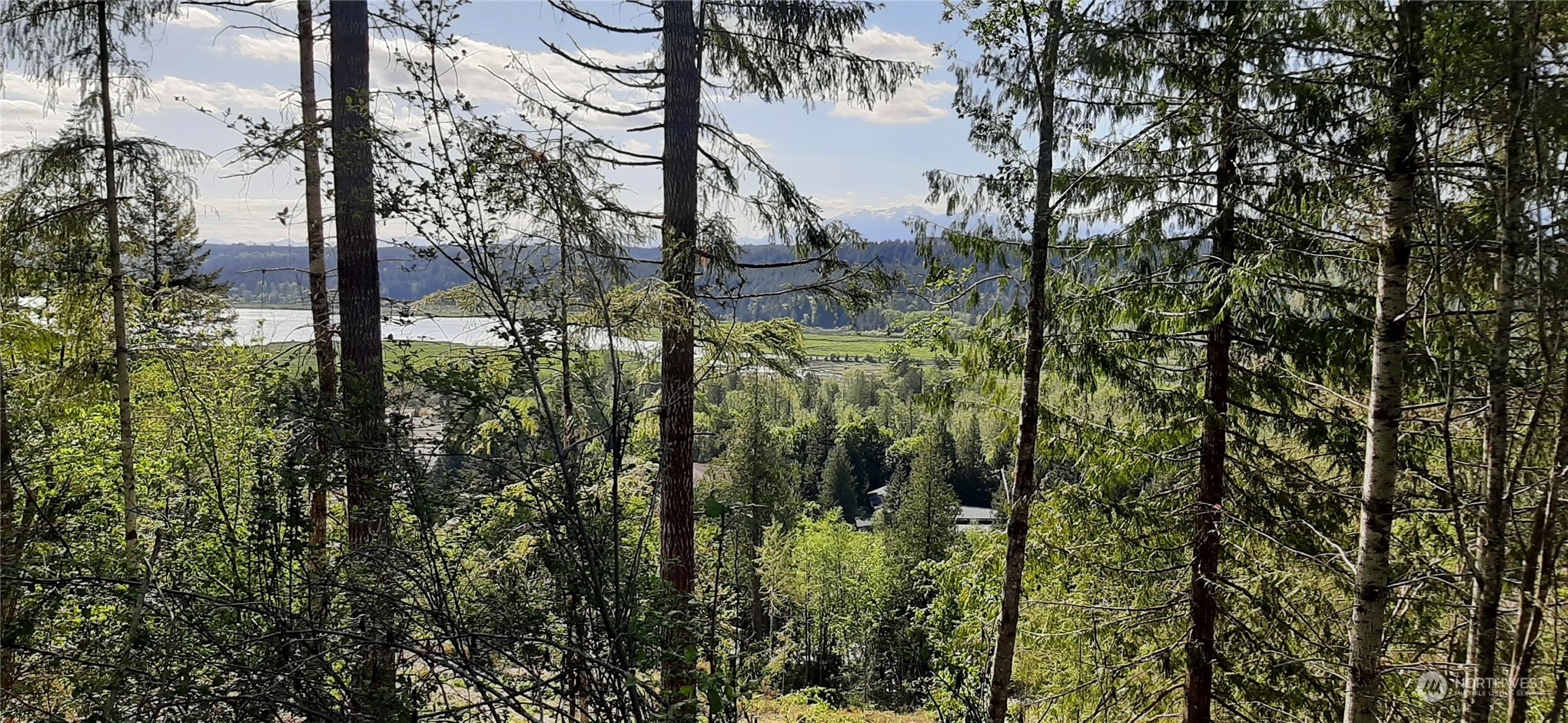 200 Northeast W J Way Belfair, WA 98528 - Photo 6 of 9 a view of a garden