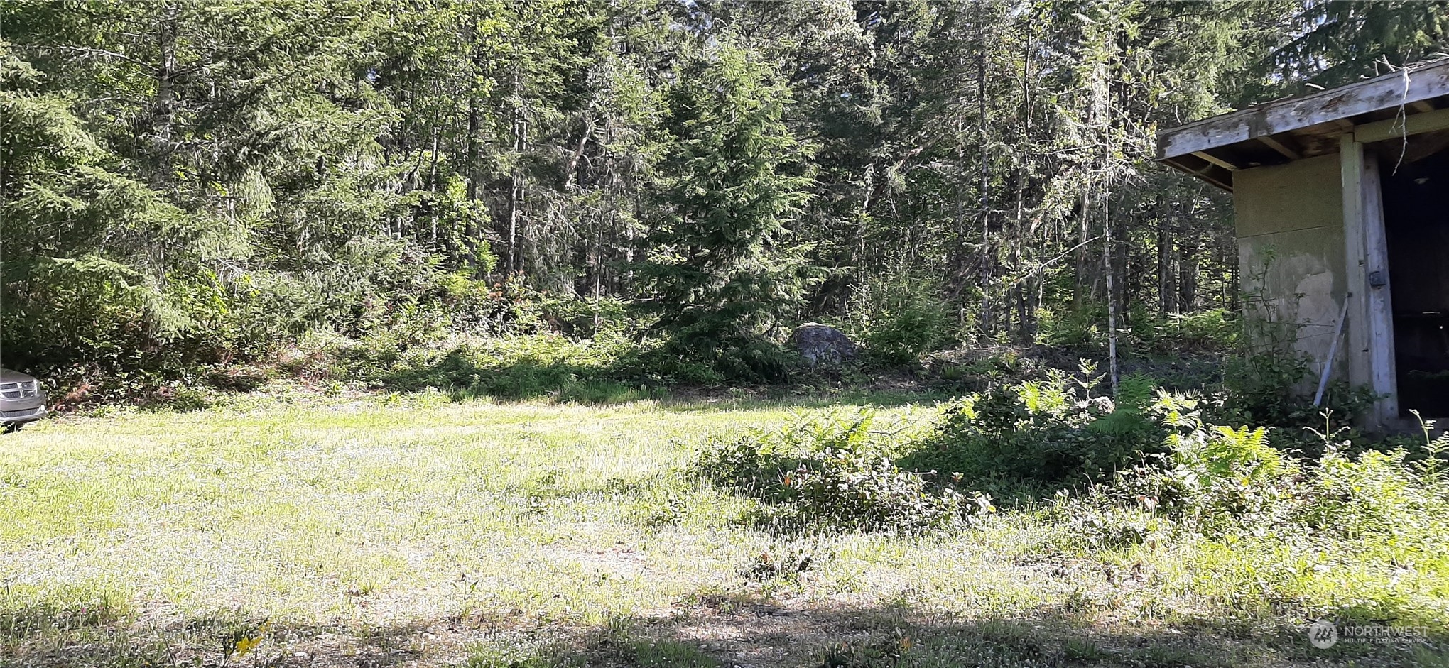 200 Northeast W J Way Belfair, WA 98528 - Photo 9 of 9 a view of a yard with plants and trees
