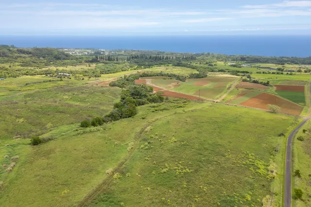 $895,000 | Lot 24-b-4 Lot 24-b-4 Onohi Loop, Papaikou, HI 96781