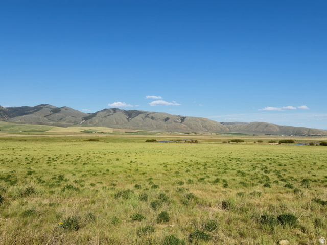 Expansive natural landscape featuring rolling terrain and a distant mountain range