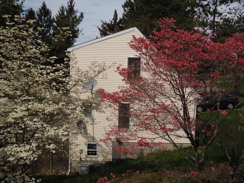 9 Spring Street Clinton, MA 01510 - Photo 8 of 21 Gallery Image 8