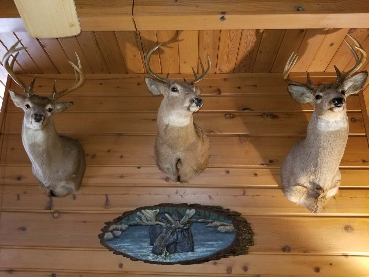 6341 Trails End Lane Rhinelander, WI 54501 - Photo 17 of 41 Gallery Image 17