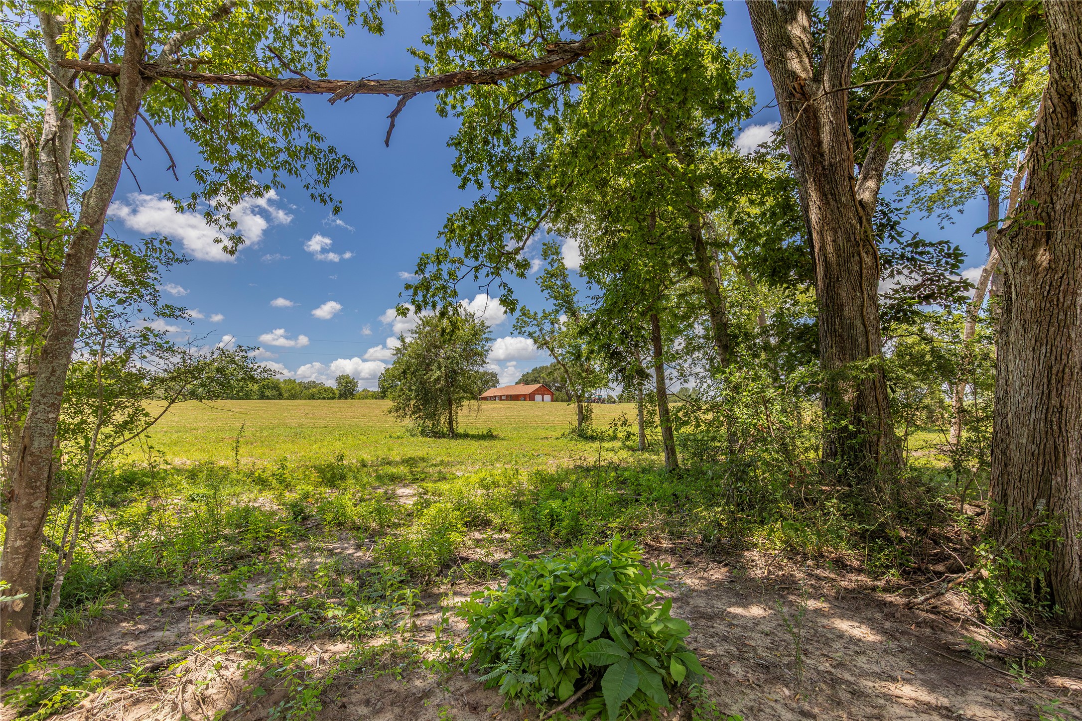 Tbd Lynn Road Bellville, TX 77418 - Photo 9 of 21