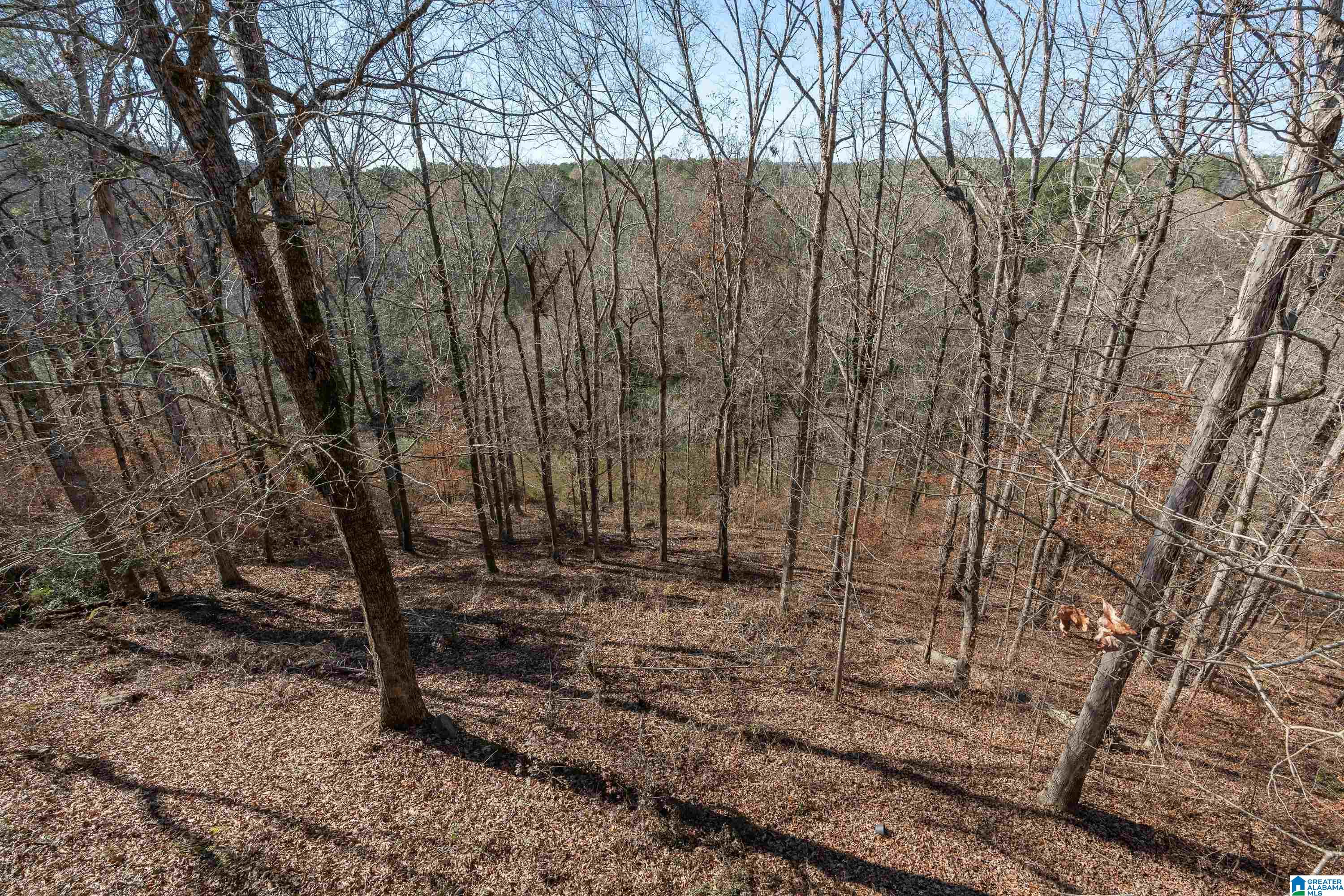 1224 River Road Birmingham, AL 35244 - Photo 36 of 52