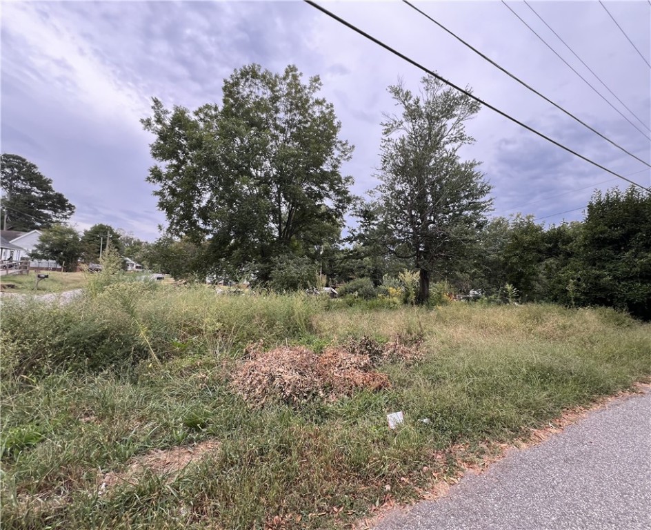 46 South Lyons Street Anderson, SC 29624 - Photo 2 of 4 Side View.