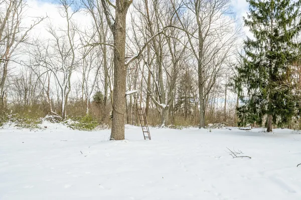 $288,500 | 12843 South Wolcott Street, Sawyer, MI 49125