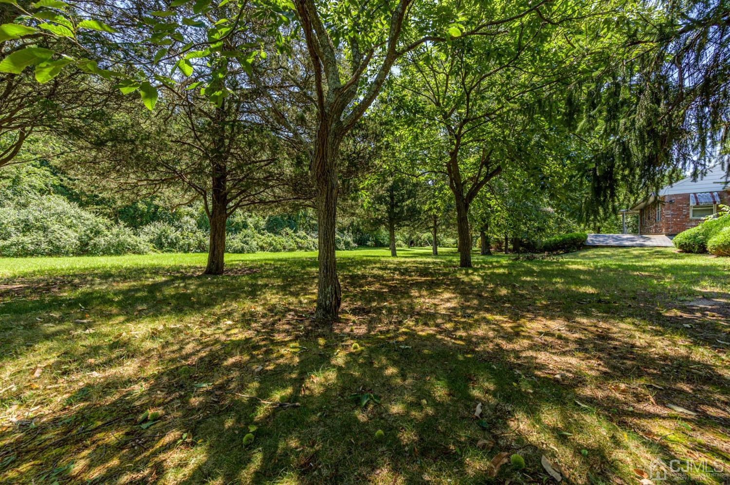 370 East Millstream Road Cream Ridge, NJ 08514 - Photo 52 of 54 a view of outdoor space with trees all around