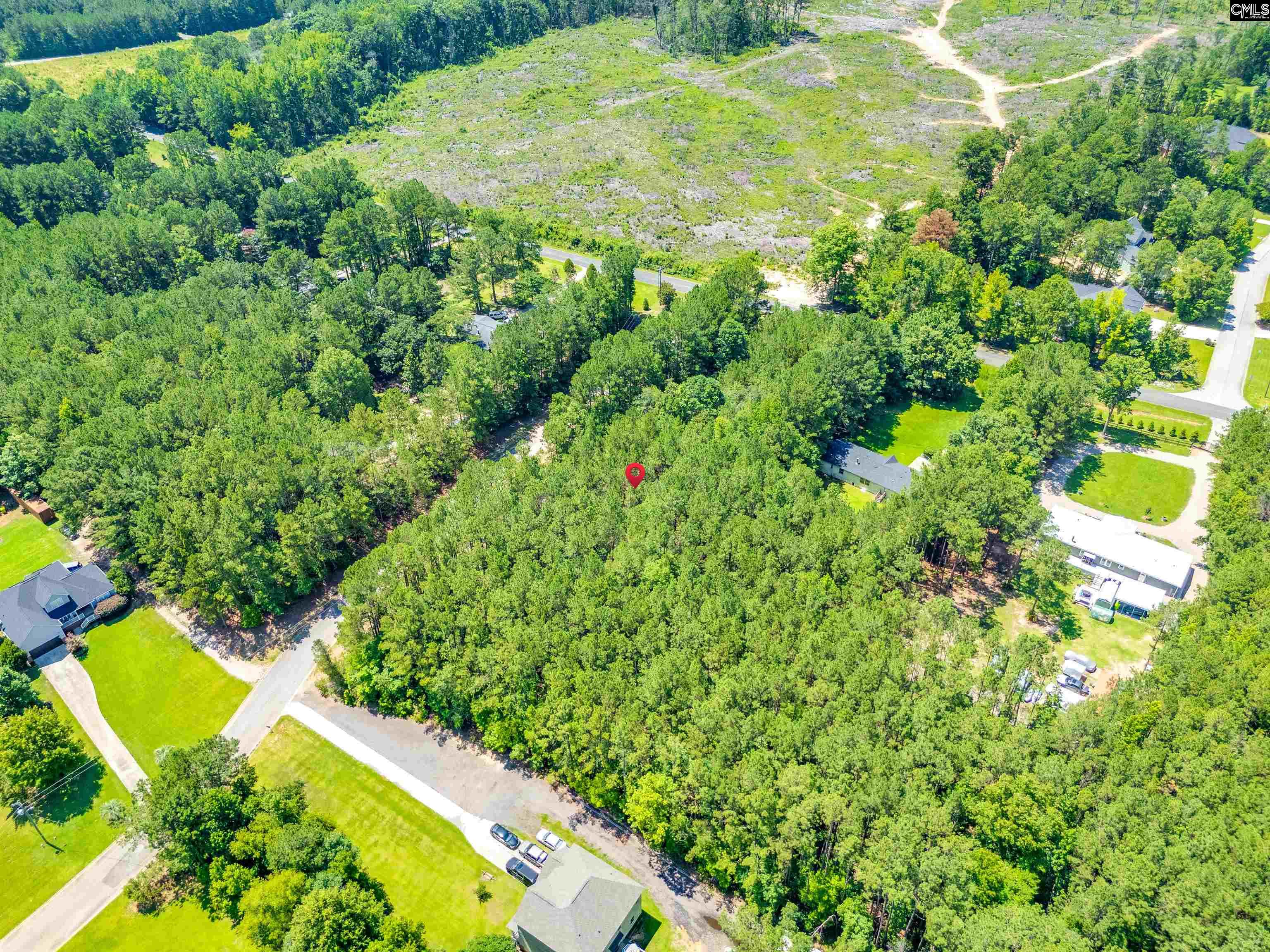 1021 State Rd S-40-1692 Blythewood, SC 29016 - Photo 7 of 12