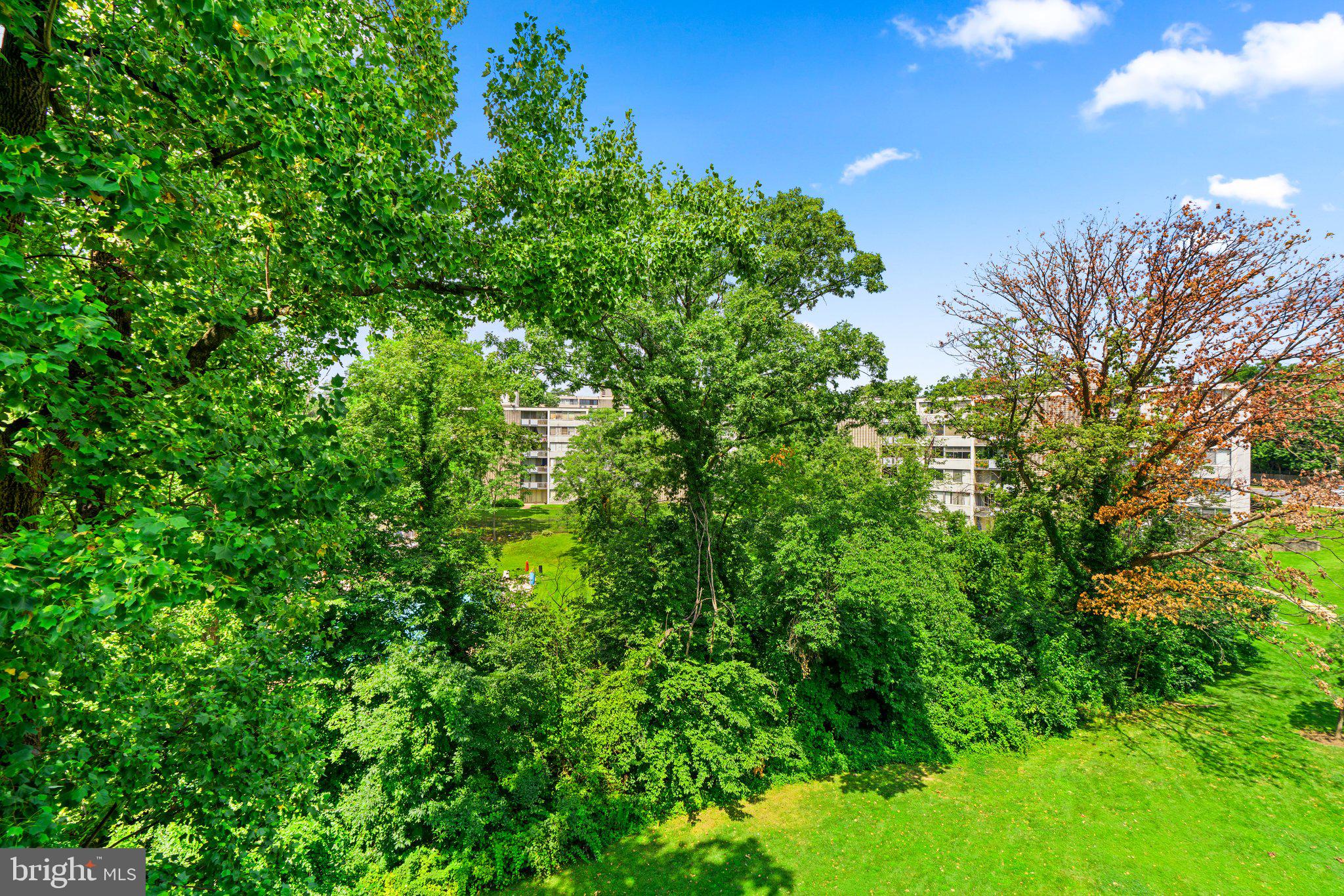 1828 Metzerott Road, Unit 405 Adelphi, MD 20783 - Photo 20 of 22