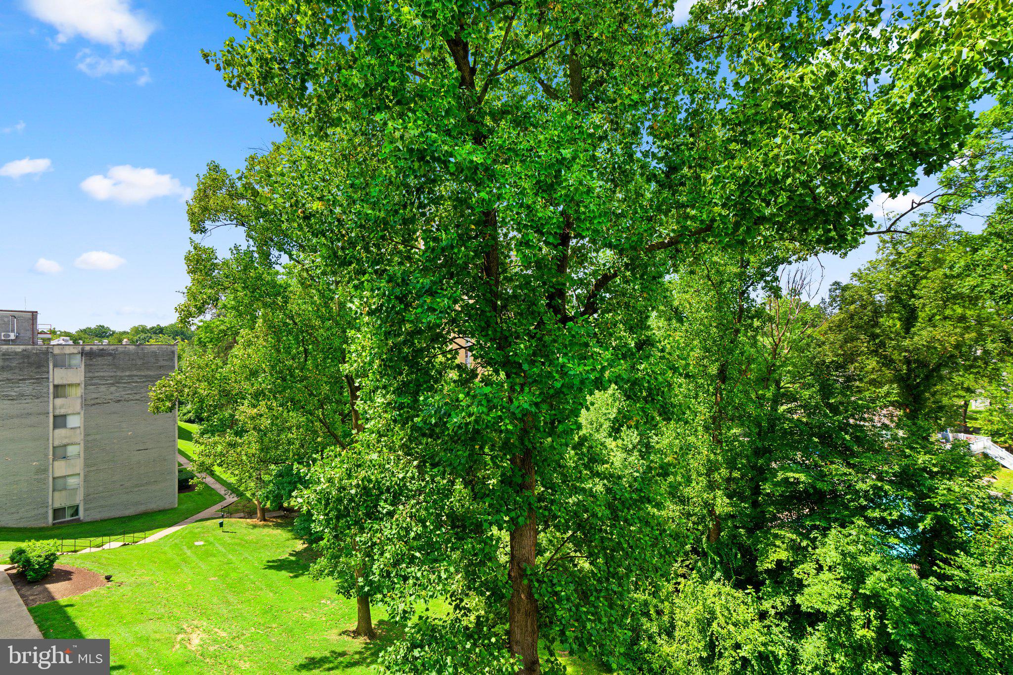 1828 Metzerott Road, Unit 405 Adelphi, MD 20783 - Photo 21 of 22