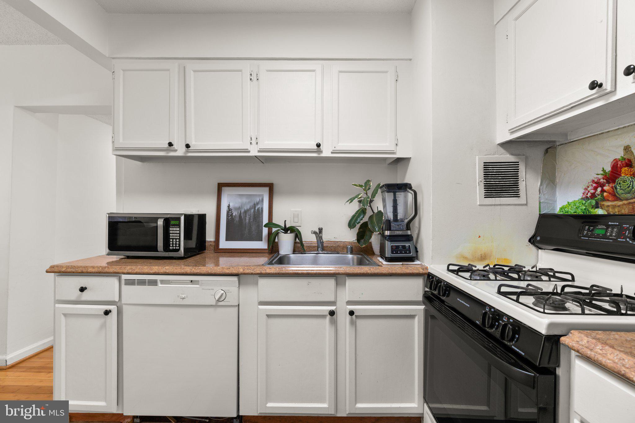 1828 Metzerott Road, Unit 405 Adelphi, MD 20783 - Photo 7 of 22