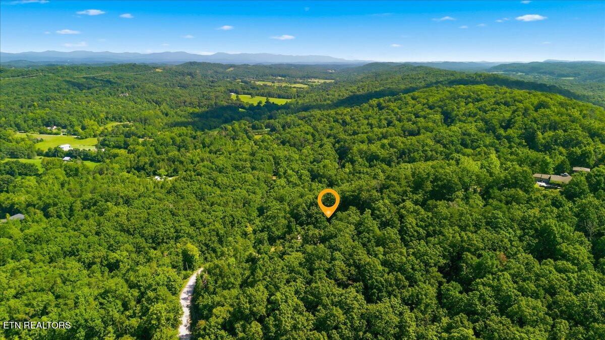 111 Eagle Ridge Road Kingston, TN 37763 - Photo 52 of 52 50-Aerial