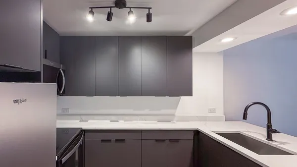 $2,450 | 233 East Erie Street, Unit 1703, Chicago, IL 60611