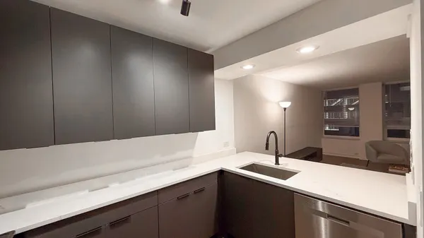 $2,450 | 233 East Erie Street, Unit 1703, Chicago, IL 60611