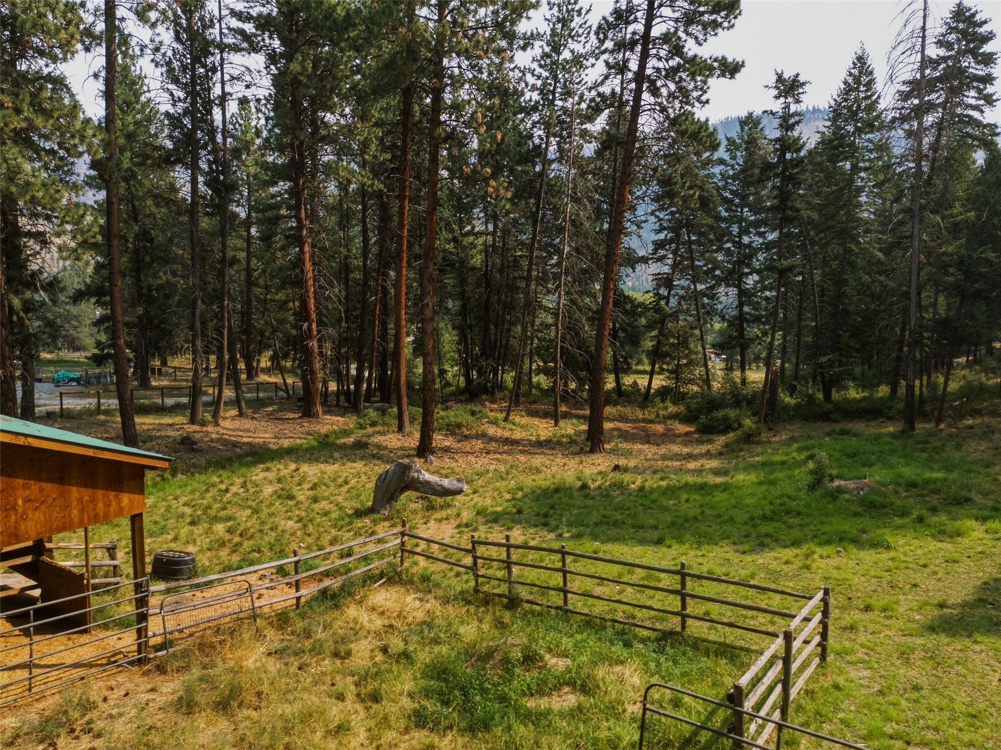 12850 Mill Creek Road Lolo, MT 59847 - Photo 5 of 80 Gallery Image 5