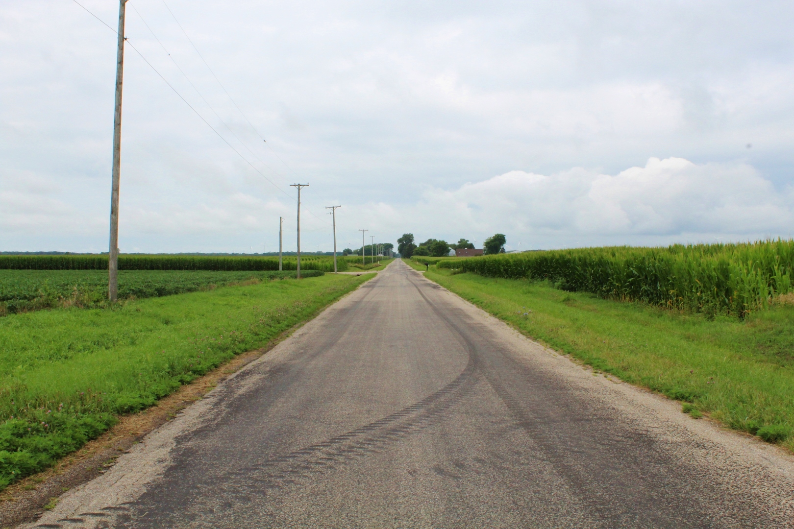 1170 West Goodfarm Road Dwight, IL 60420 - Photo 17 of 19 Gallery Image 17