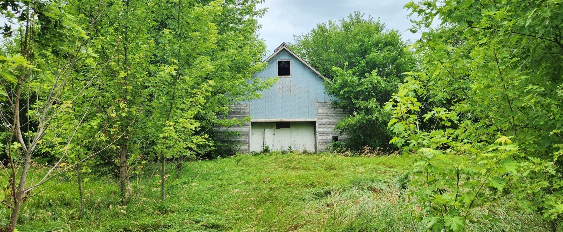 1170 West Goodfarm Road Dwight, IL 60420 - Photo 4 of 19 Gallery Image 4