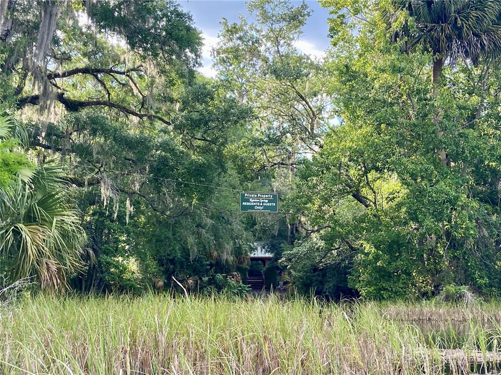 18272 Southwest 65th Loop Dunnellon, FL 34432 - Photo 66 of 70