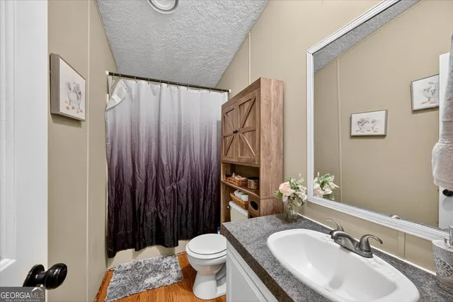 a bathroom with a sink toilet a mirror and vanity