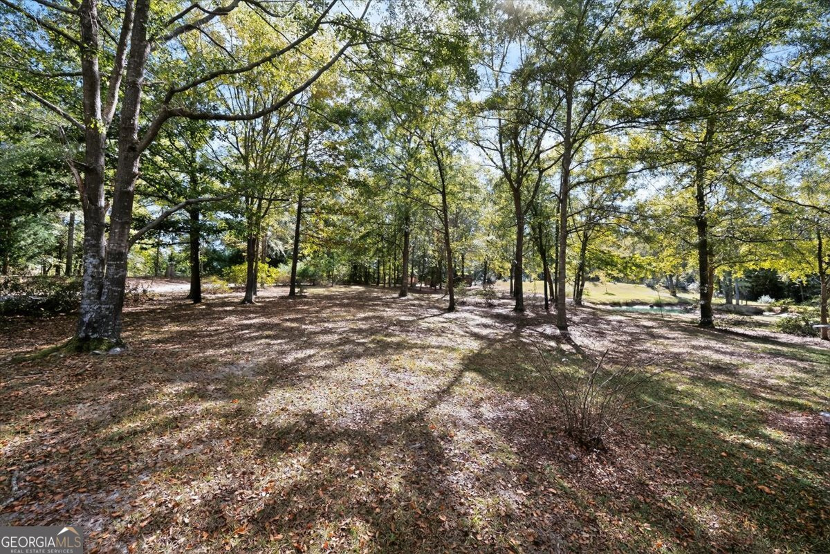 1659 Henderson Road Macon, GA 31217 - Photo 38 of 44 a view of outdoor space with trees