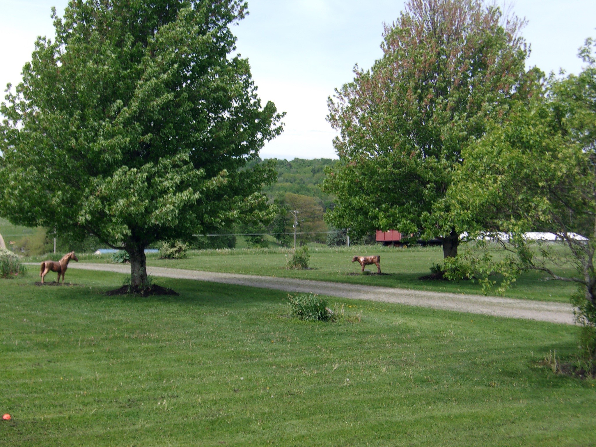 114 Fred Catlin Road Owego, NY 13827 - Photo 4 of 50