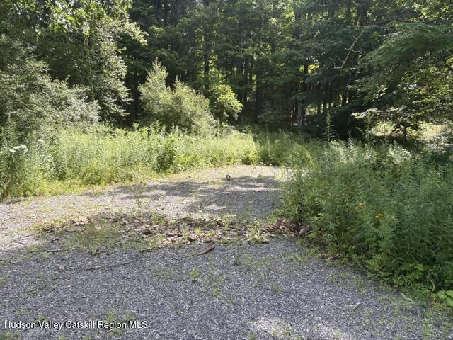 81 Maiers Road Craryville, NY 12521 - Photo 15 of 15 IMG_4236