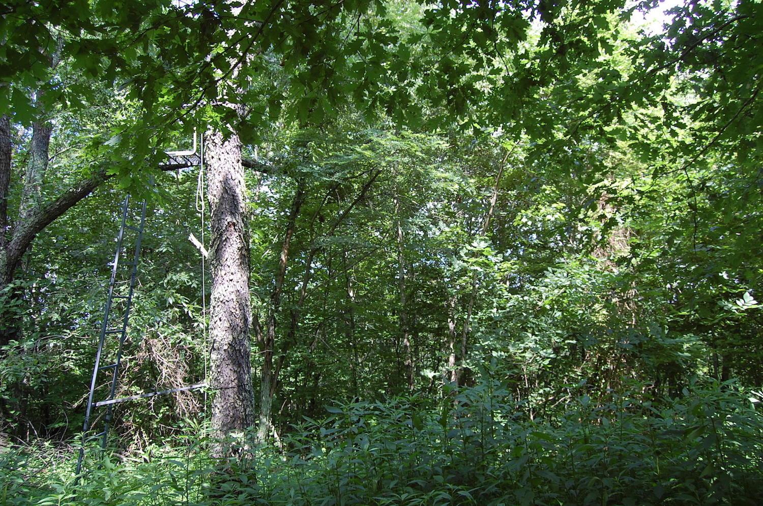 141 Spring Run Road Vinton, OH 45686 - Photo 11 of 50