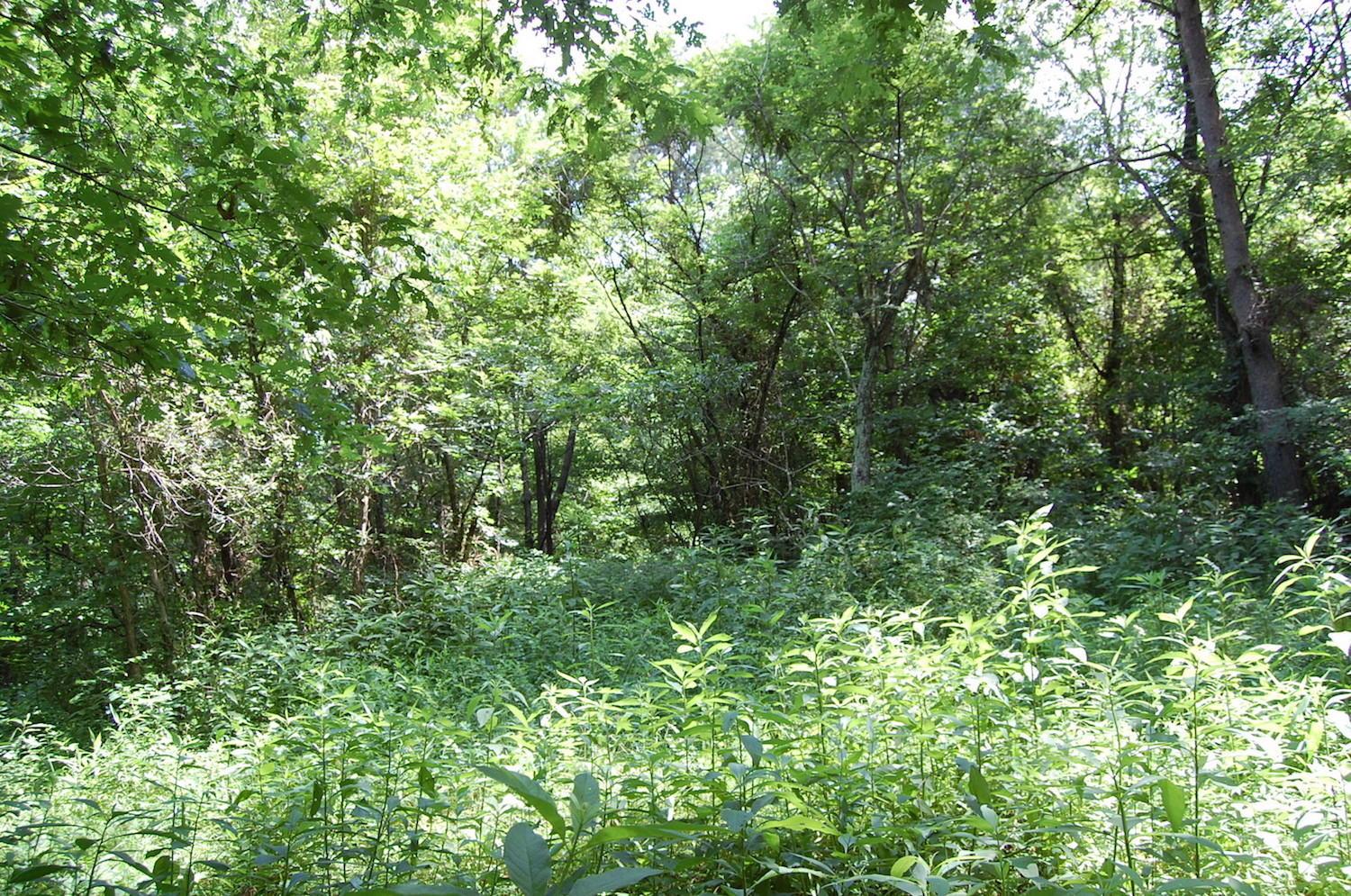 141 Spring Run Road Vinton, OH 45686 - Photo 12 of 50