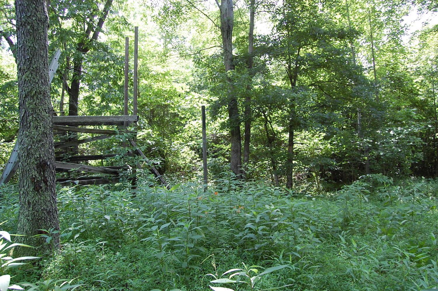141 Spring Run Road Vinton, OH 45686 - Photo 13 of 50