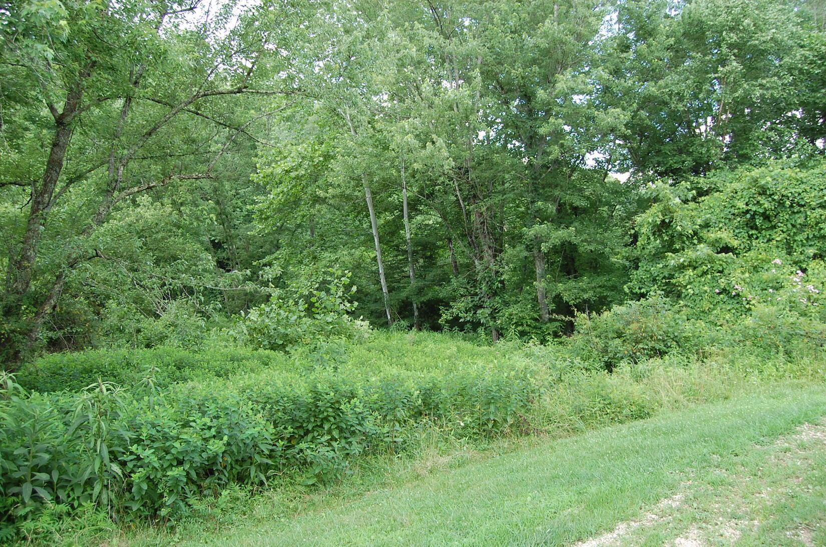 141 Spring Run Road Vinton, OH 45686 - Photo 16 of 50
