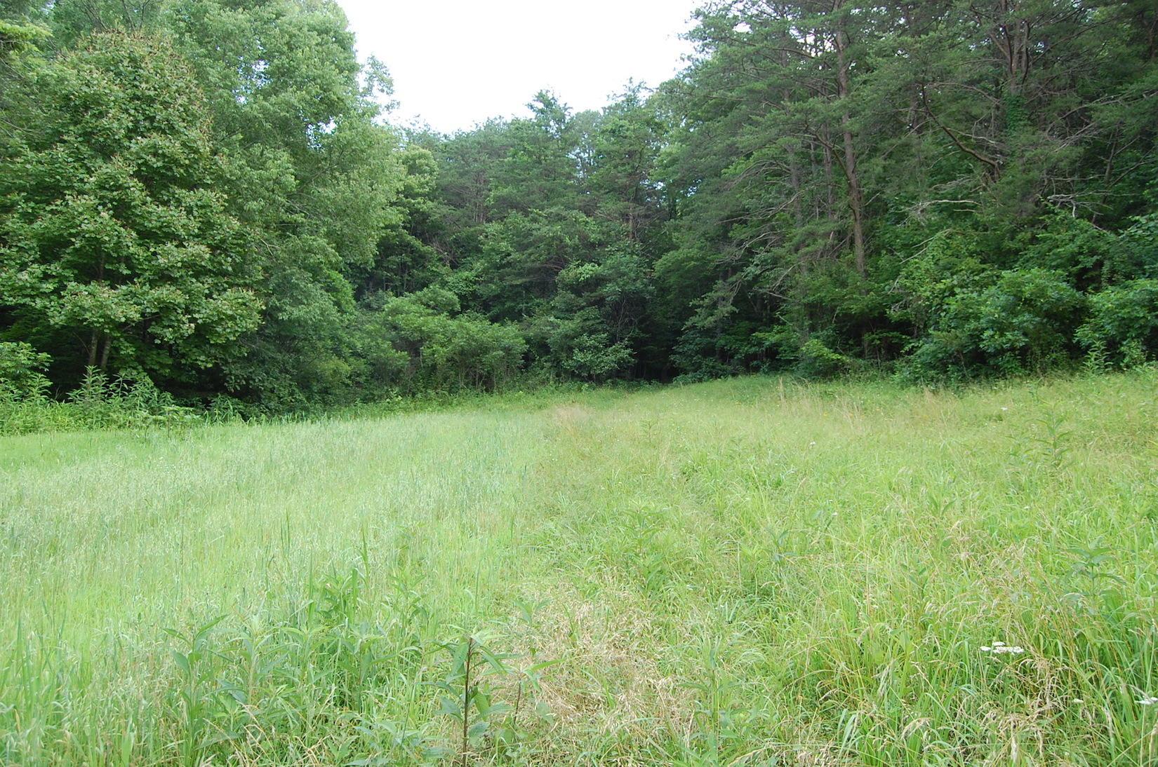 141 Spring Run Road Vinton, OH 45686 - Photo 17 of 50