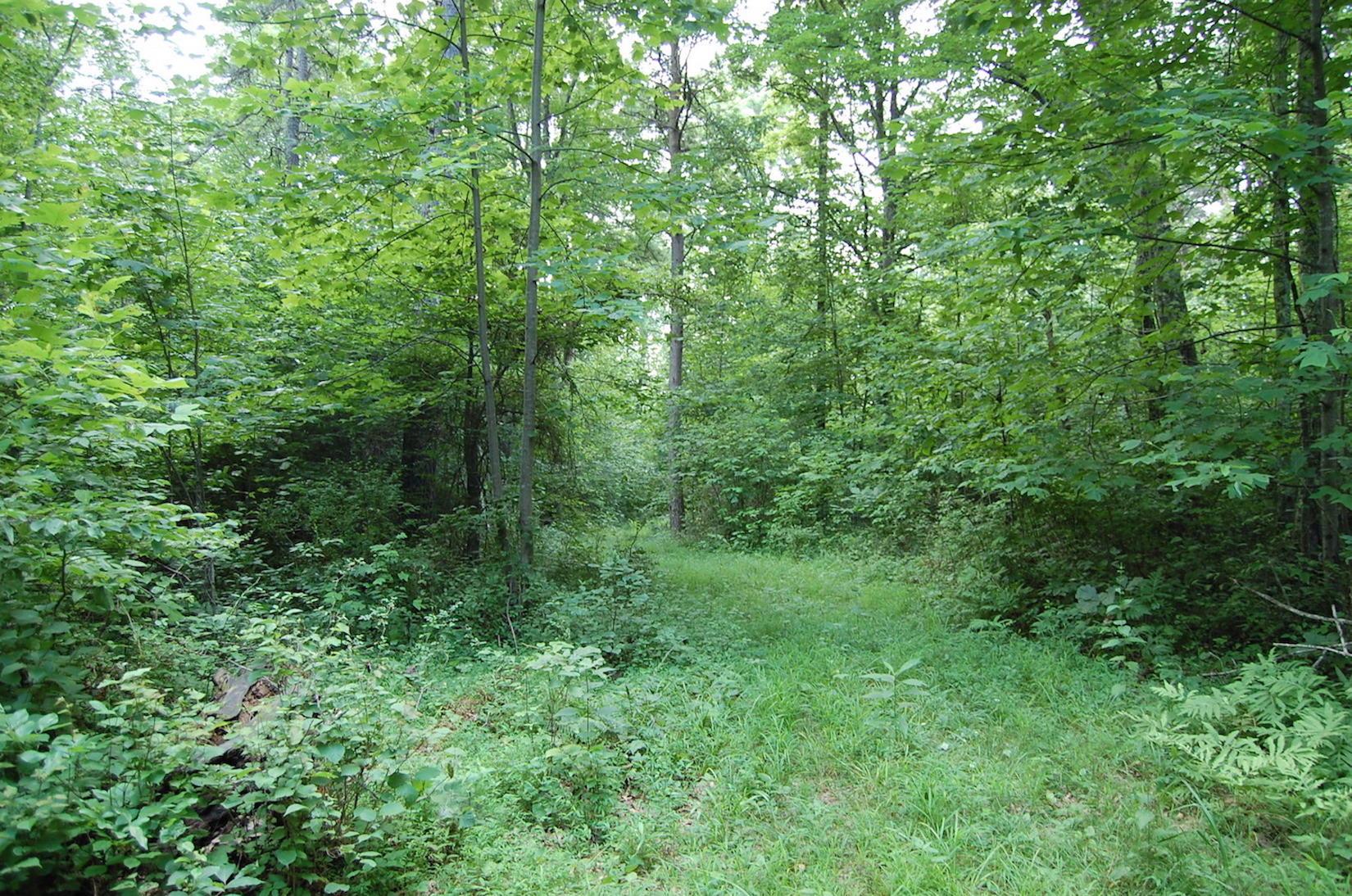141 Spring Run Road Vinton, OH 45686 - Photo 19 of 50