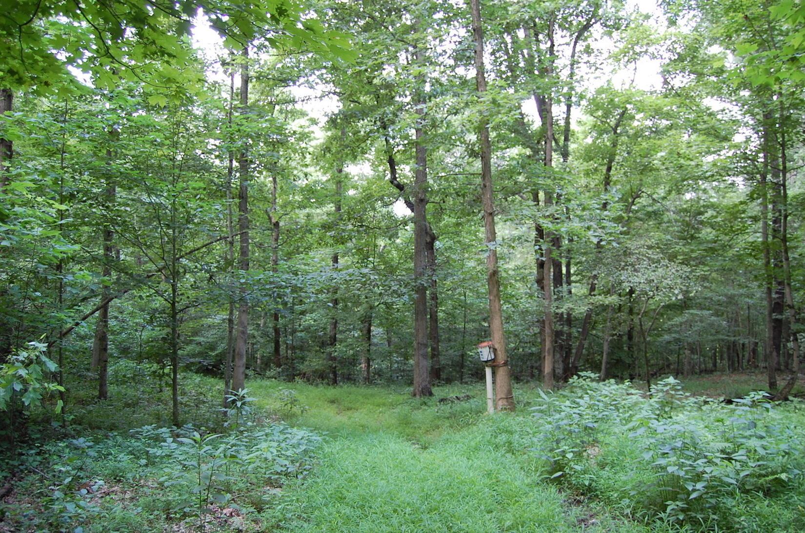 141 Spring Run Road Vinton, OH 45686 - Photo 21 of 50