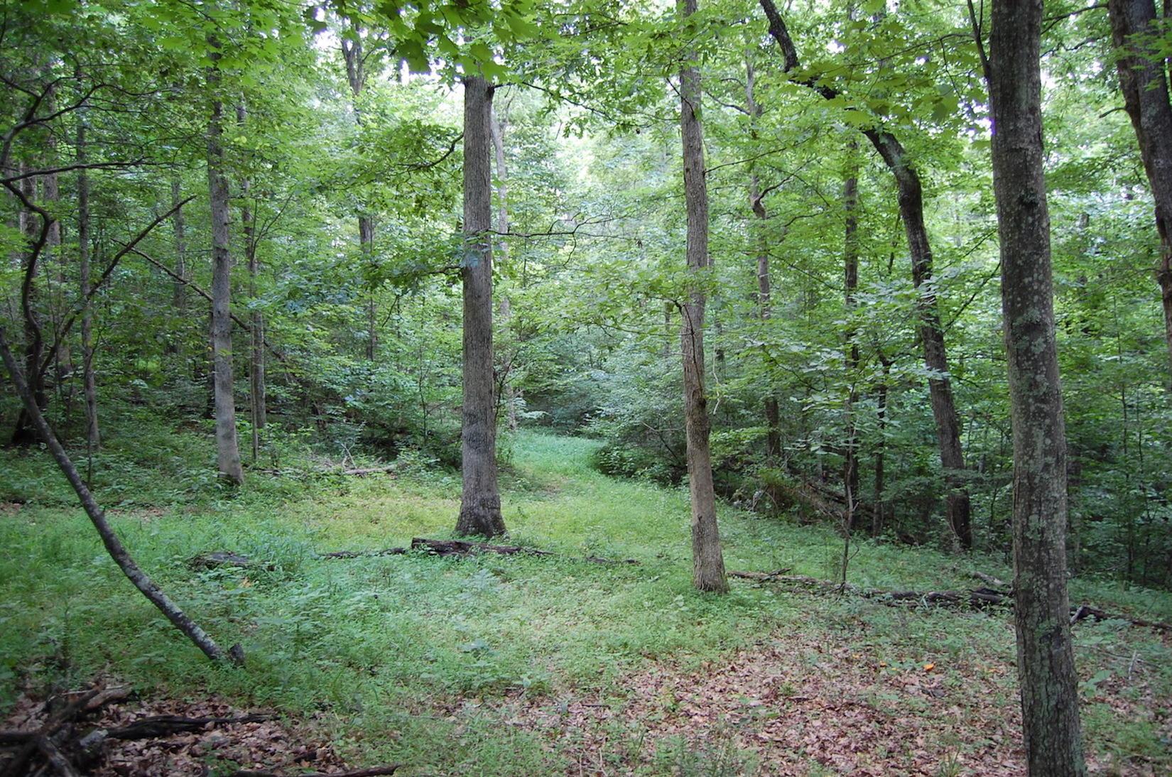 141 Spring Run Road Vinton, OH 45686 - Photo 23 of 50